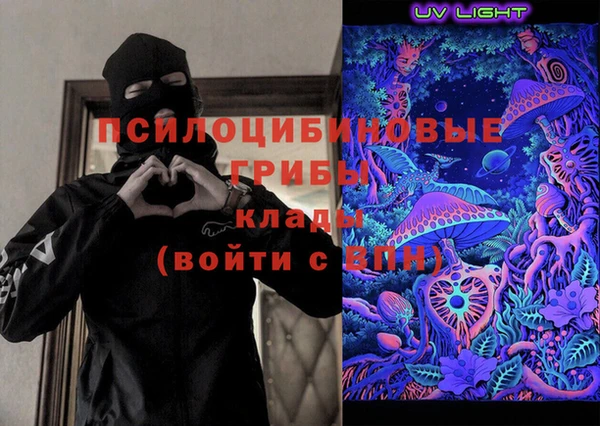 соль ск Алексин