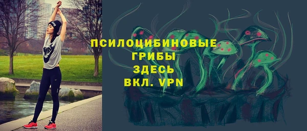 герыч Алзамай